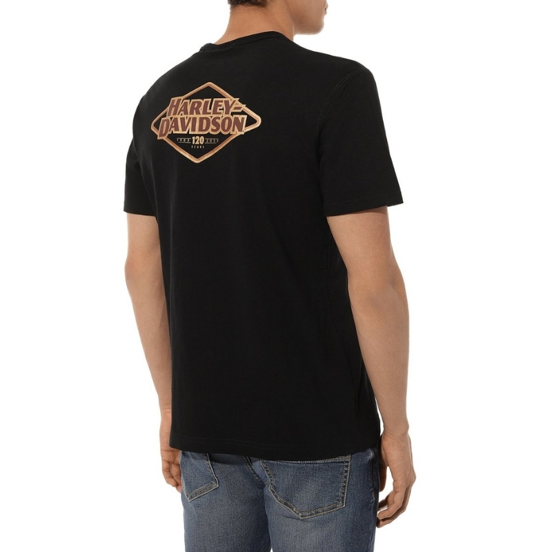 Men’s 120th Anniversary Pocket Tee – Black Beauty