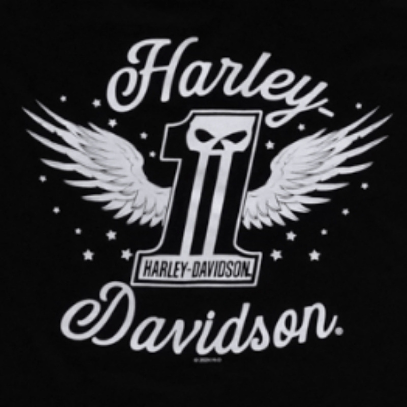 Womens Dark Angel Dealer Tee