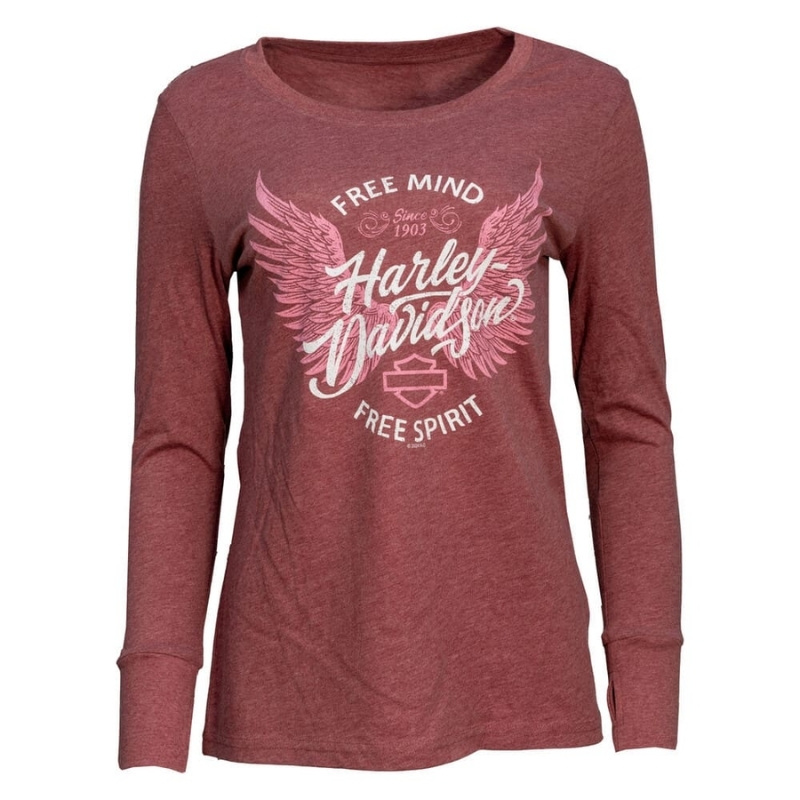 Womens Coastline Dealer Tee