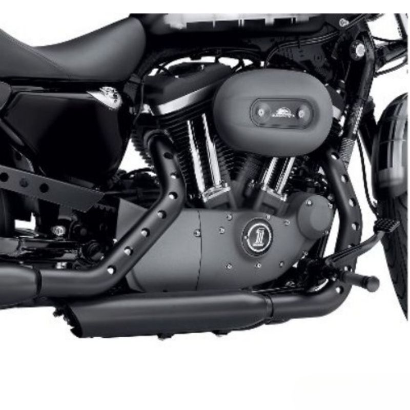 Screamin' Eagle® Buckshot Exhaust Shield Kit