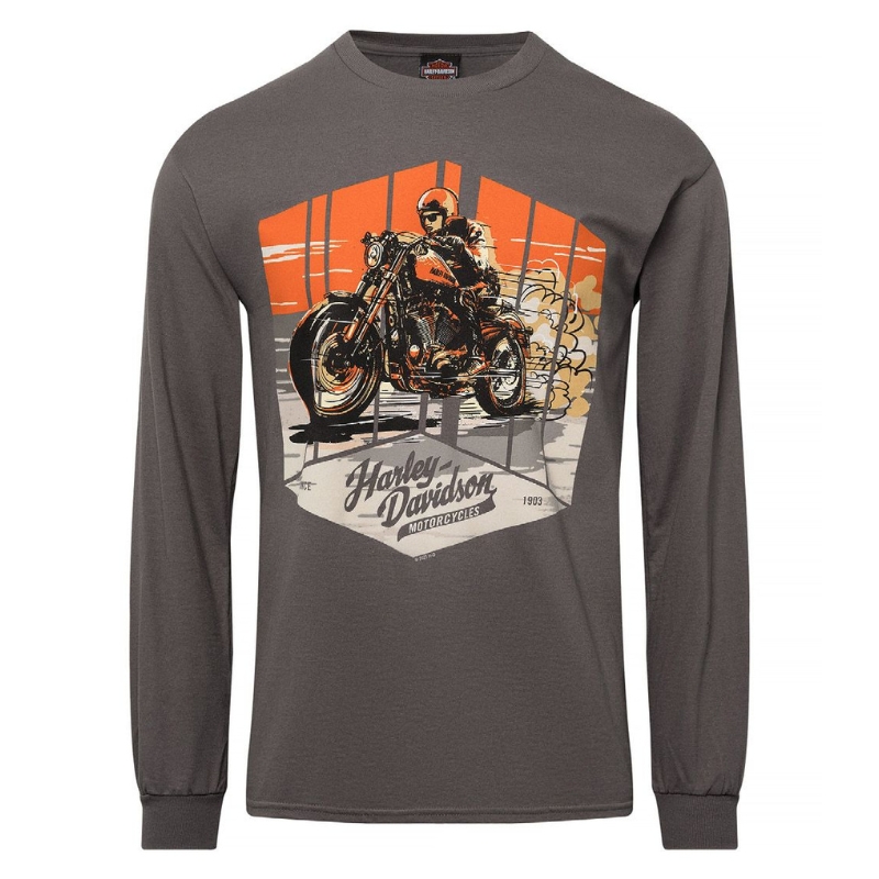 Mens Cruisin Dealer Tee